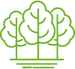 Alberi -8